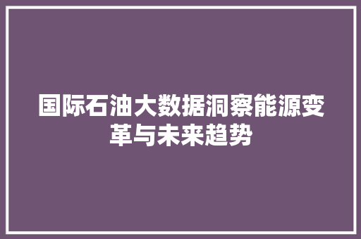 国际石油大数据洞察能源变革与未来趋势