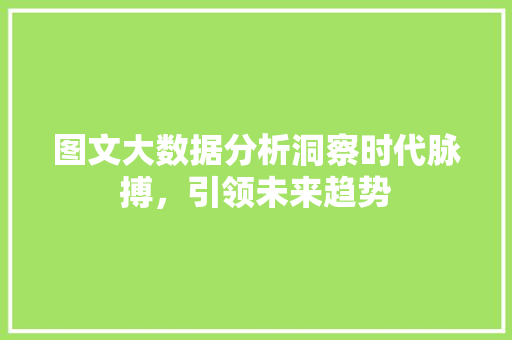 图文大数据分析洞察时代脉搏，引领未来趋势