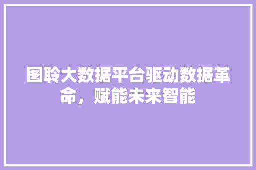 图聆大数据平台驱动数据革命，赋能未来智能 电脑基础