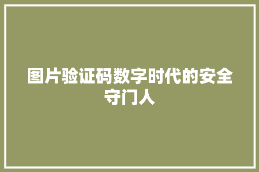 图片验证码数字时代的安全守门人 电脑配置