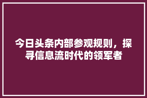 今日头条内部参观规则，探寻信息流时代的领军者 网络技术