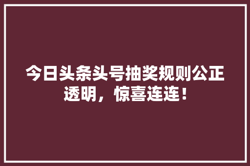 今日头条头号抽奖规则公正透明，惊喜连连！