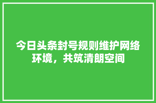 今日头条封号规则维护网络环境，共筑清朗空间 操作系统
