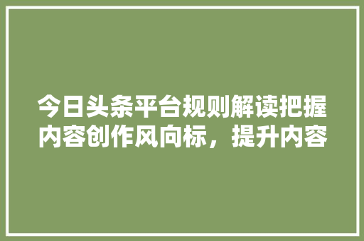 今日头条平台规则解读把握内容创作风向标，提升内容传播力 操作系统