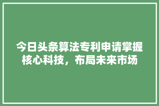 今日头条算法专利申请掌握核心科技，布局未来市场 编程语言