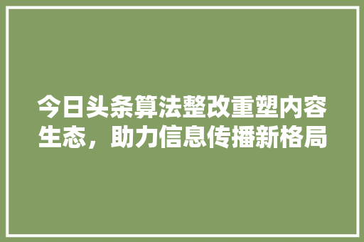 今日头条算法整改重塑内容生态，助力信息传播新格局