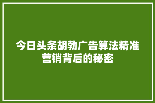 今日头条胡勃广告算法精准营销背后的秘密