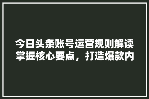 今日头条账号运营规则解读掌握核心要点，打造爆款内容 编程语言
