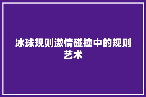 冰球规则激情碰撞中的规则艺术 电脑配置