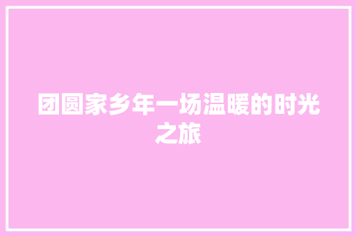 团圆家乡年一场温暖的时光之旅