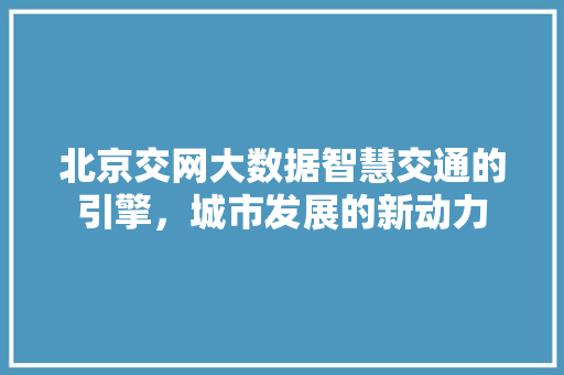 北京交网大数据智慧交通的引擎，城市发展的新动力