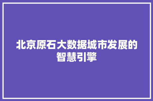 北京原石大数据城市发展的智慧引擎