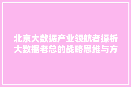 北京大数据产业领航者探析大数据老总的战略思维与方法路径