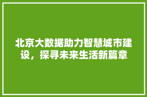 北京大数据助力智慧城市建设，探寻未来生活新篇章