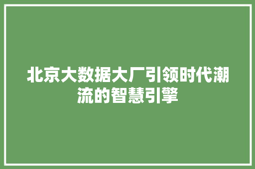北京大数据大厂引领时代潮流的智慧引擎