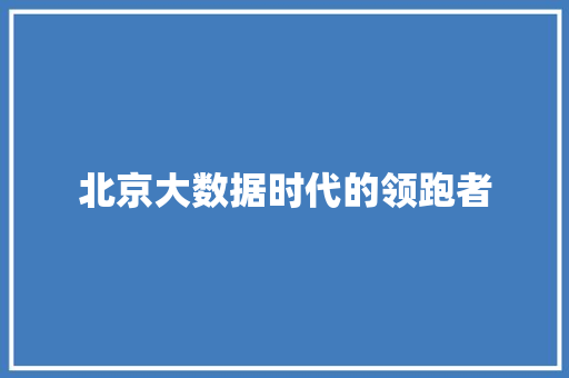 北京大数据时代的领跑者