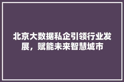 北京大数据私企引领行业发展，赋能未来智慧城市