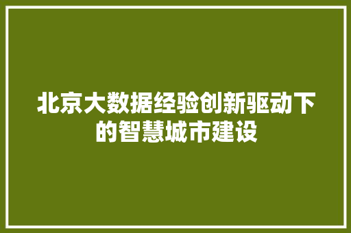 北京大数据经验创新驱动下的智慧城市建设