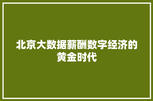 北京大数据薪酬数字经济的黄金时代