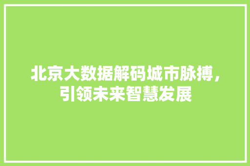 北京大数据解码城市脉搏，引领未来智慧发展