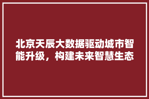 北京天辰大数据驱动城市智能升级，构建未来智慧生态