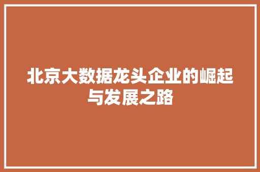 北京大数据龙头企业的崛起与发展之路