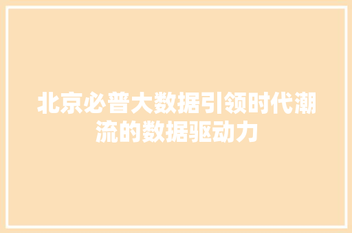 北京必普大数据引领时代潮流的数据驱动力