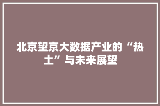 北京望京大数据产业的“热土”与未来展望