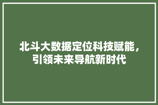北斗大数据定位科技赋能，引领未来导航新时代
