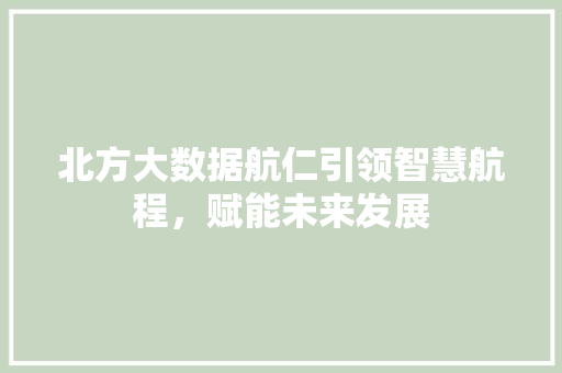 北方大数据航仁引领智慧航程，赋能未来发展