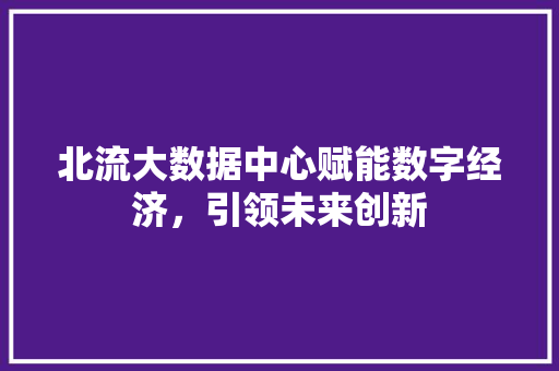 北流大数据中心赋能数字经济，引领未来创新