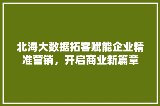 北海大数据拓客赋能企业精准营销，开启商业新篇章