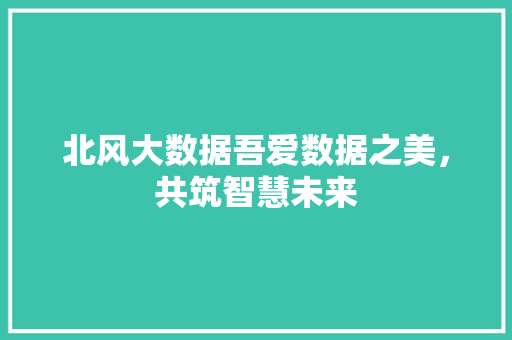 北风大数据吾爱数据之美,共筑智慧未来 北风大数据吾爱数据之美,共筑智慧未来