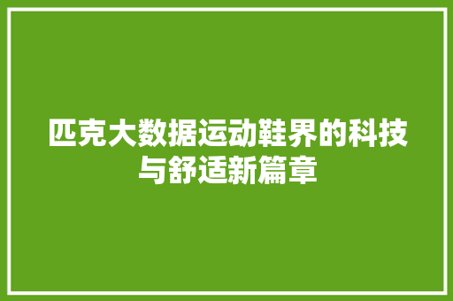 匹克大数据运动鞋界的科技与舒适新篇章