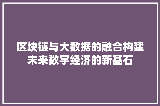 区块链与大数据的融合构建未来数字经济的新基石