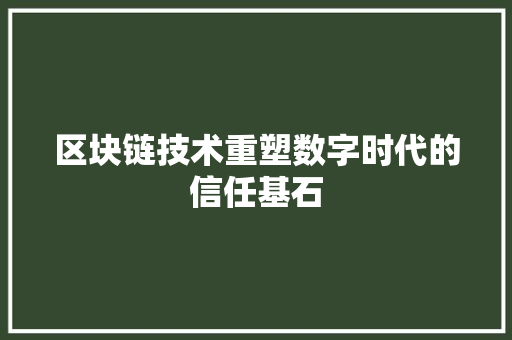 区块链技术重塑数字时代的信任基石
