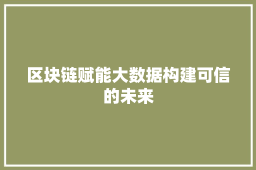 区块链赋能大数据构建可信的未来