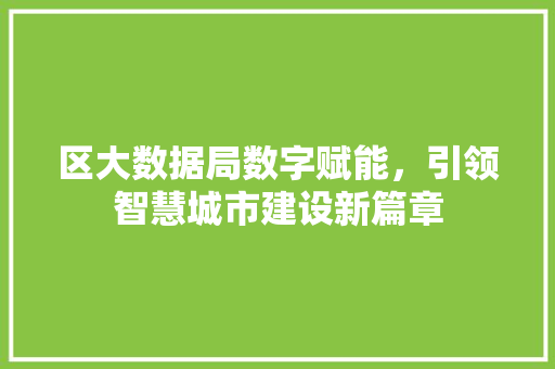 区大数据局数字赋能,引领智慧城市建设新篇章 区大数据局数字赋能,引领智慧城市建设新篇章