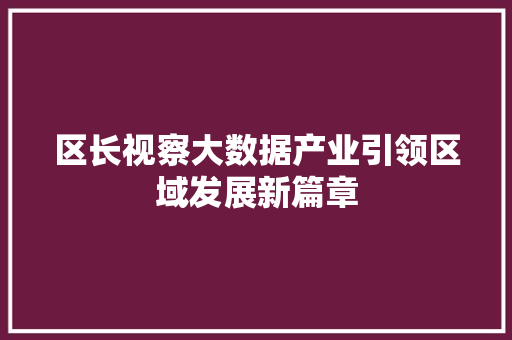 区长视察大数据产业引领区域发展新篇章 区长视察大数据产业引领区域发展新篇章