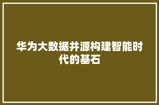 华为大数据井源构建智能时代的基石