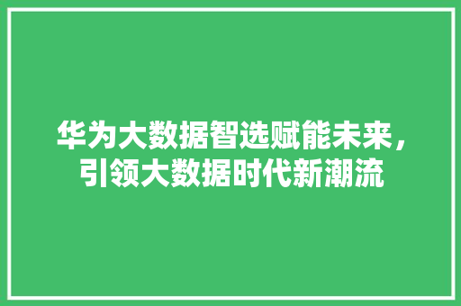 华为大数据智选赋能未来，引领大数据时代新潮流