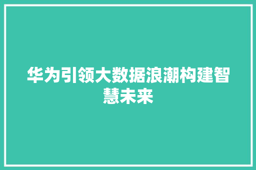 华为引领大数据浪潮构建智慧未来