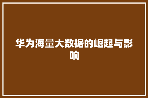 华为海量大数据的崛起与影响