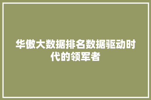 华傲大数据排名数据驱动时代的领军者 华傲大数据排名数据驱动时代的领军者