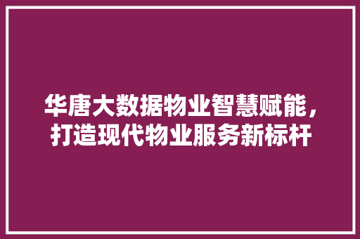 华唐大数据物业智慧赋能，打造现代物业服务新标杆
