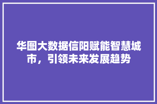 华图大数据信阳赋能智慧城市，引领未来发展趋势 电脑配置