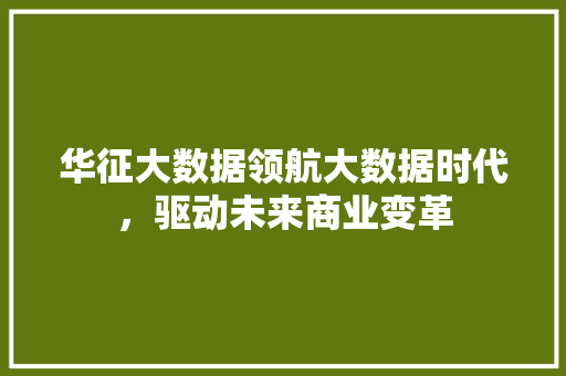 华征大数据领航大数据时代，驱动未来商业变革