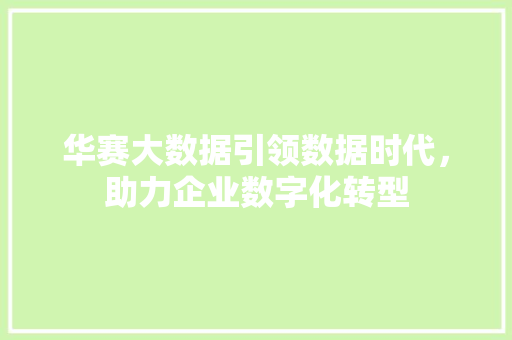 华赛大数据引领数据时代，助力企业数字化转型