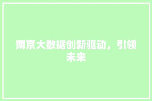 南京大数据创新驱动，引领未来