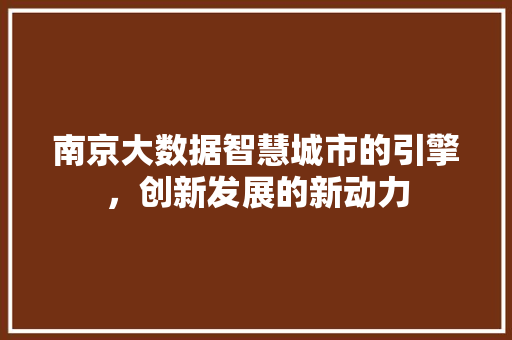 南京大数据智慧城市的引擎，创新发展的新动力